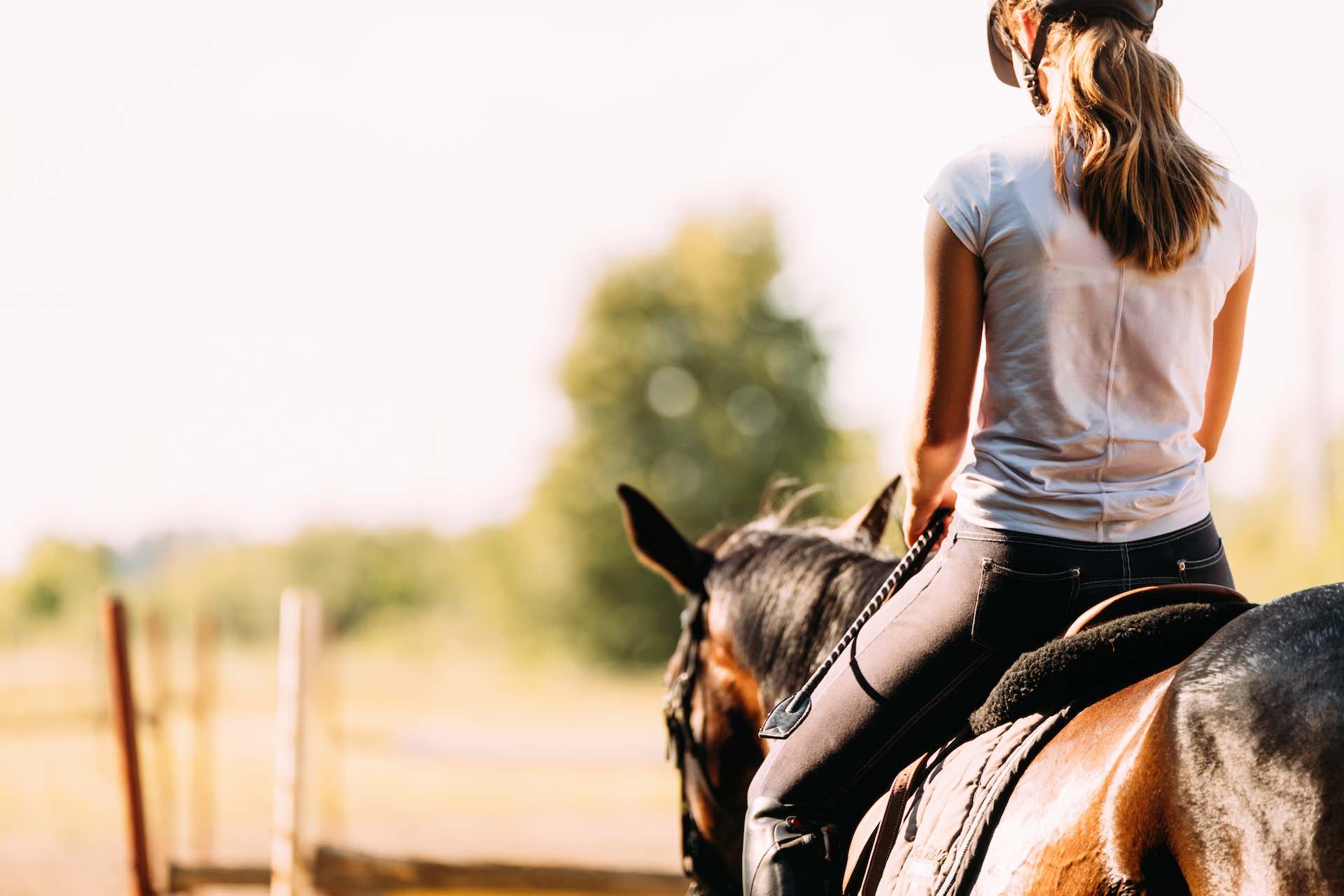 Picture of young pretty girl riding her horse